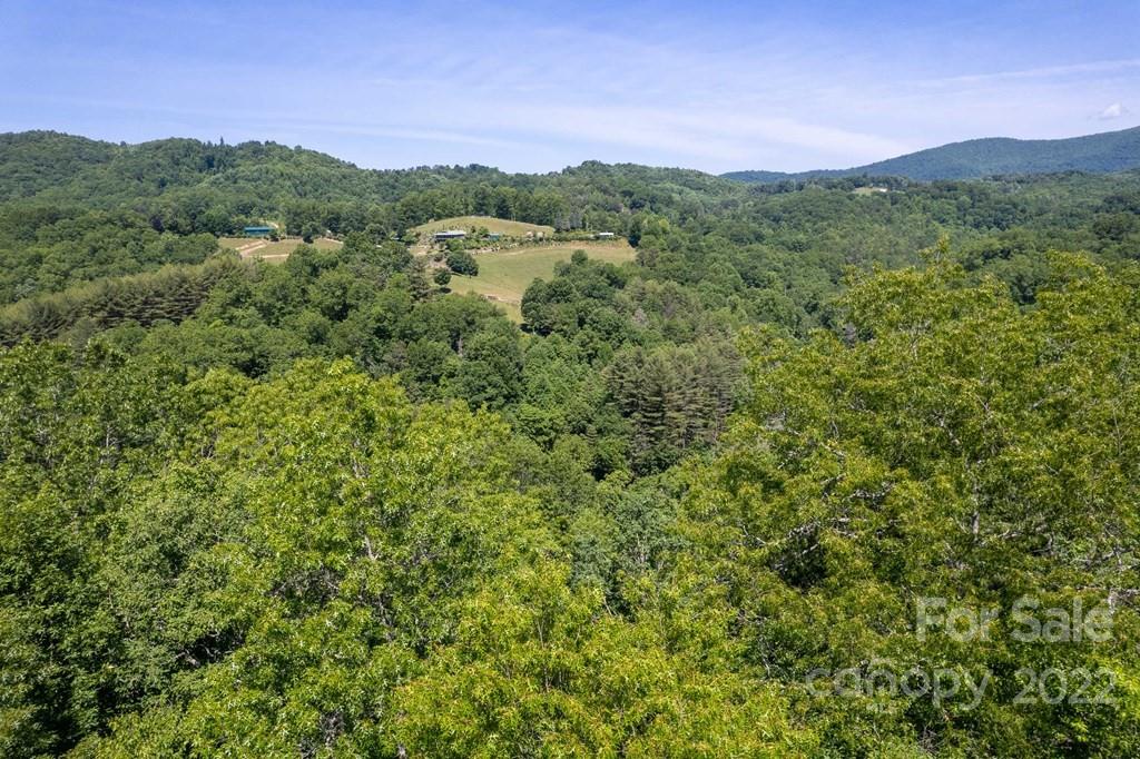 246 Old Mill Road Tuckasegee, NC 28783 - Photo 19 of 30 Gallery Image 19