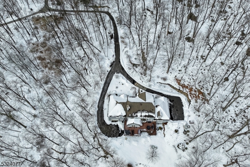 4 Deer Trail Road Saddle River, NJ 07458 - Photo 30 of 37 a view of statue in a yard