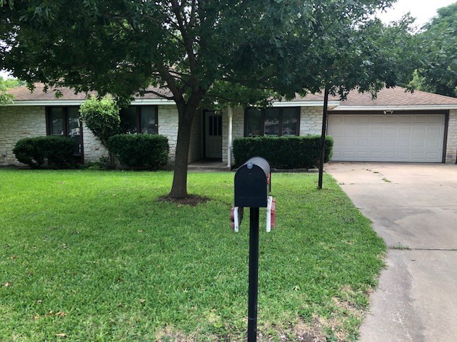 a front view of a house with a yard and a tree