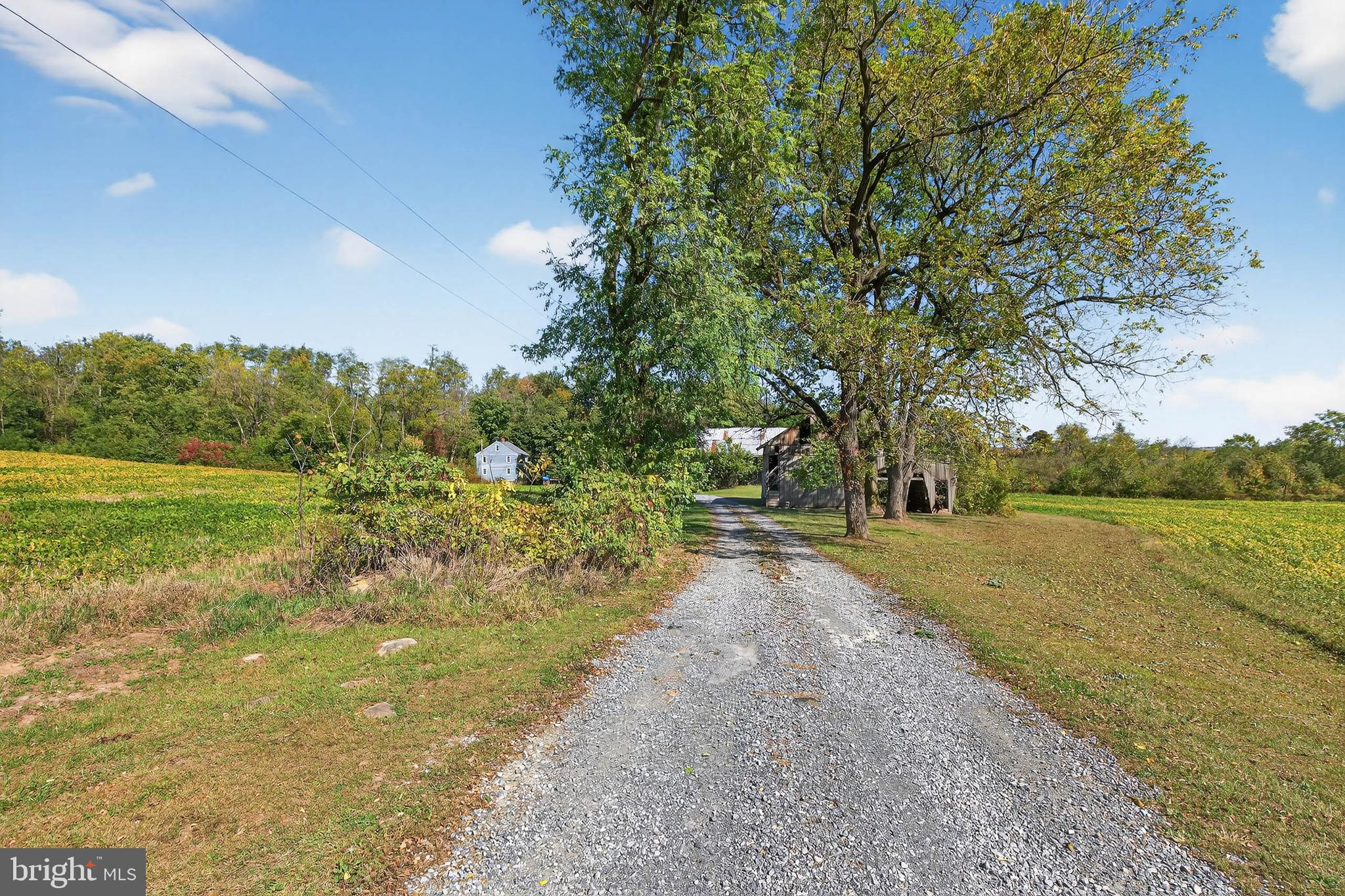 395 Prospect Road Elizabethtown, PA 17022 - Photo 12 of 26 a view of a yard with an trees