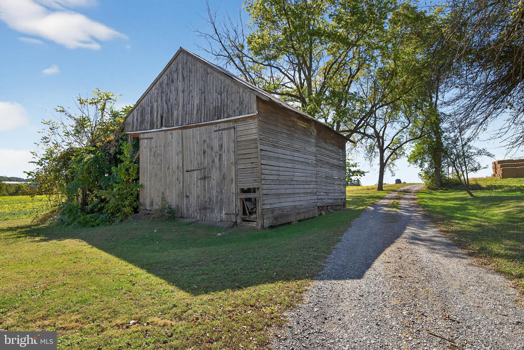 395 Prospect Road Elizabethtown, PA 17022 - Photo 14 of 26 a backyard of a house with plants and large tree