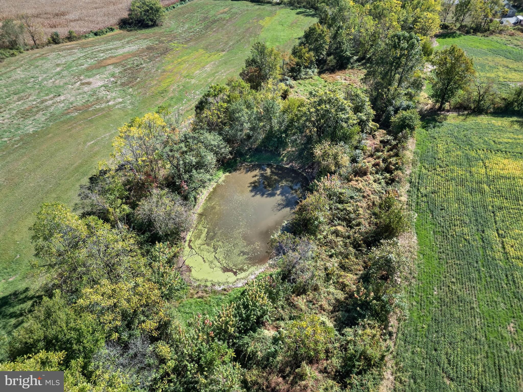 395 Prospect Road Elizabethtown, PA 17022 - Photo 4 of 26 a view of a lake from a yard