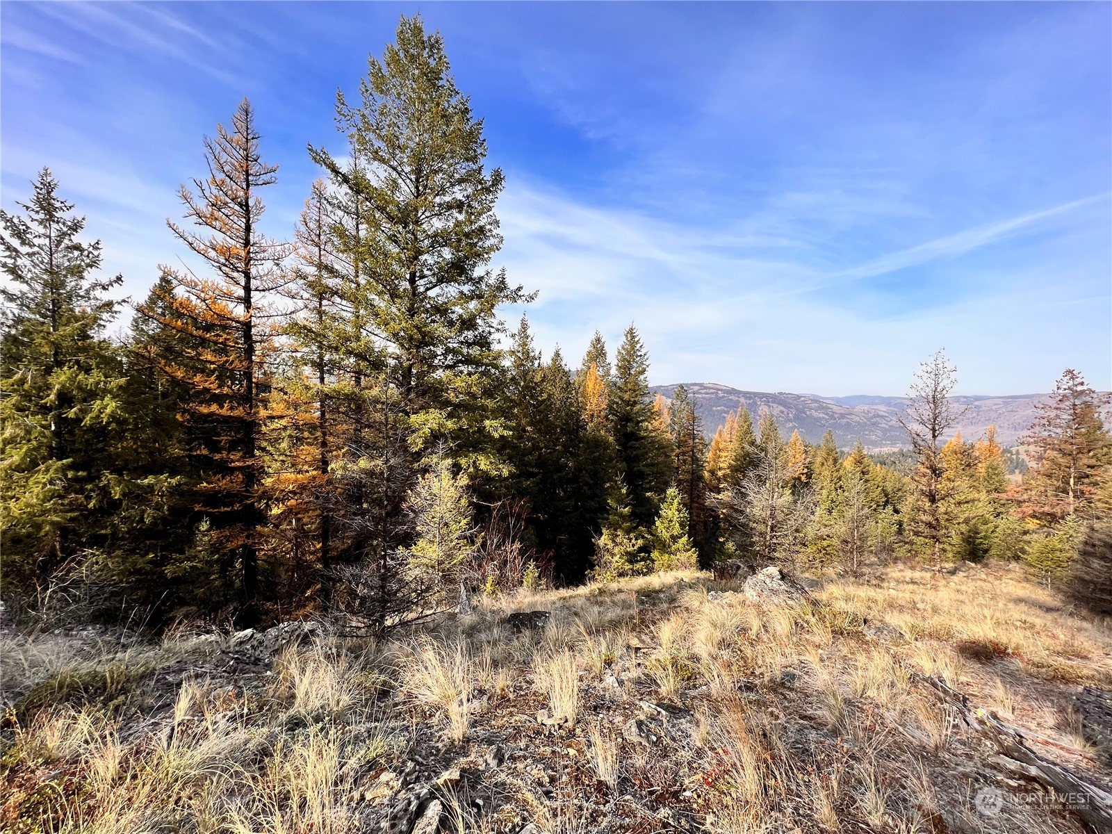 -tbd Sugarloaf Road Curlew, WA 99118 - Photo 1 of 36 Gallery Image 1