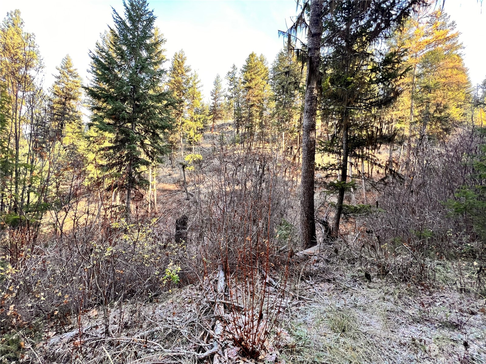 -tbd Sugarloaf Road Curlew, WA 99118 - Photo 11 of 36 Gallery Image 11