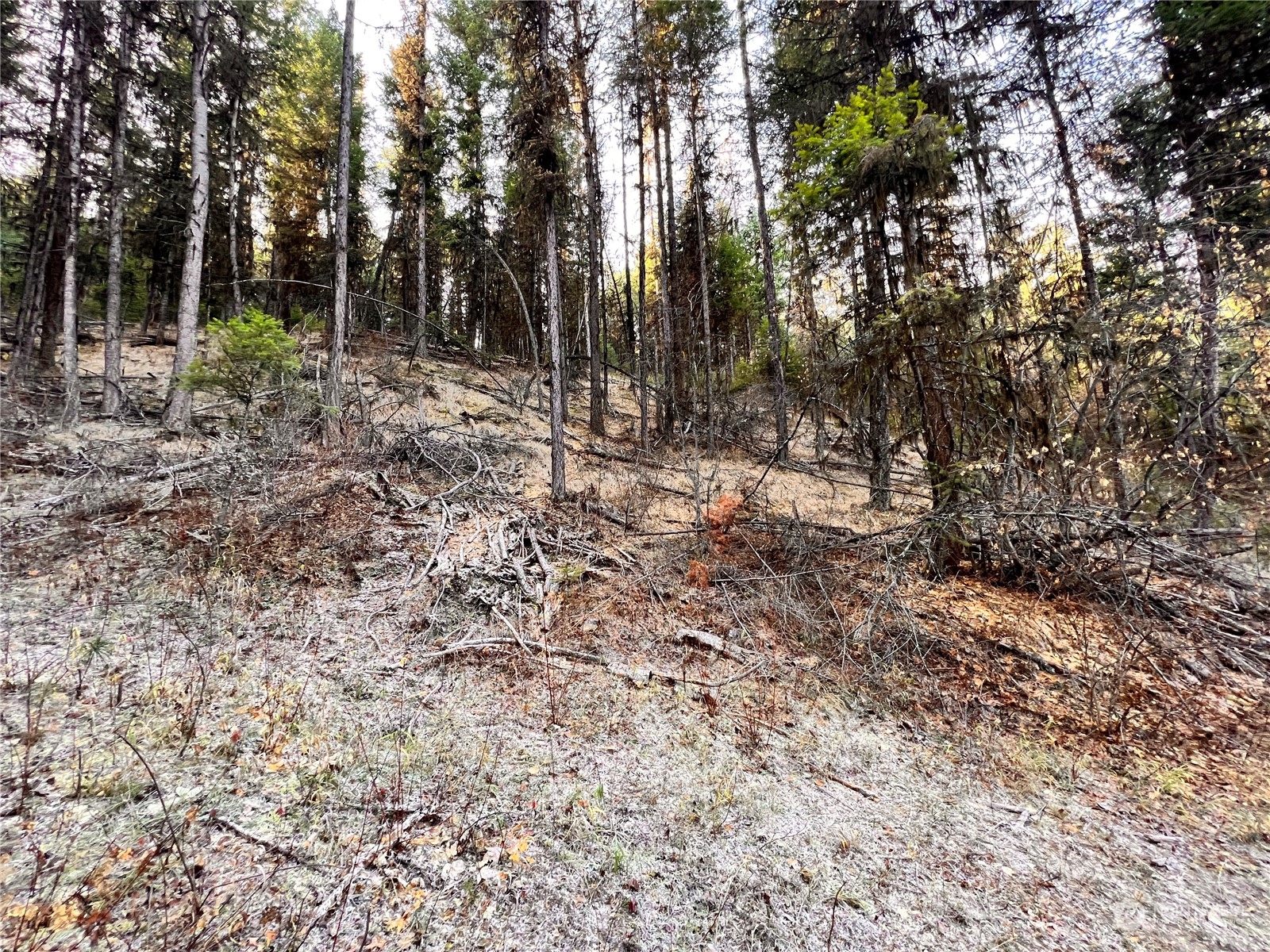 -tbd Sugarloaf Road Curlew, WA 99118 - Photo 12 of 36 Gallery Image 12