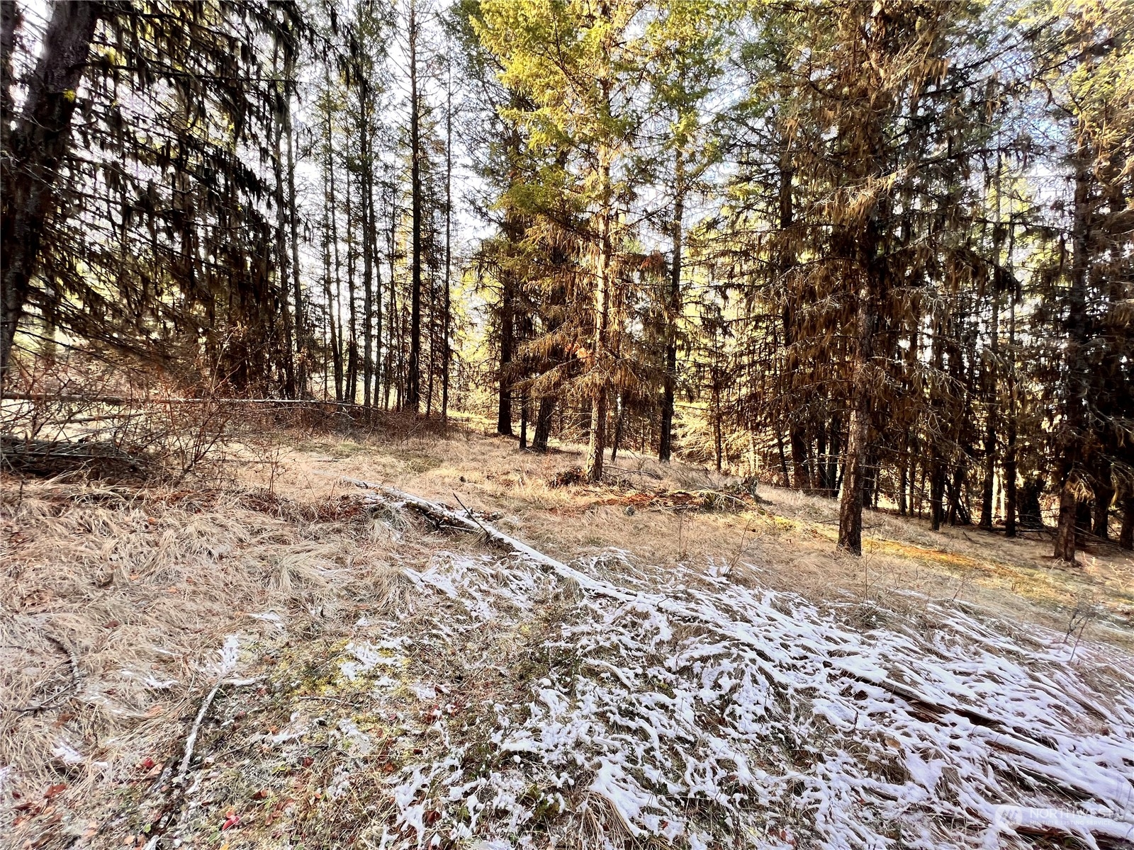 -tbd Sugarloaf Road Curlew, WA 99118 - Photo 16 of 36 Gallery Image 16