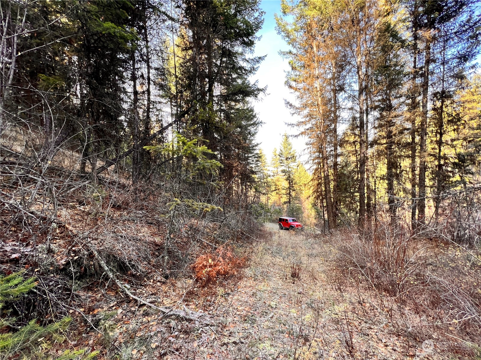 -tbd Sugarloaf Road Curlew, WA 99118 - Photo 19 of 36 Gallery Image 19
