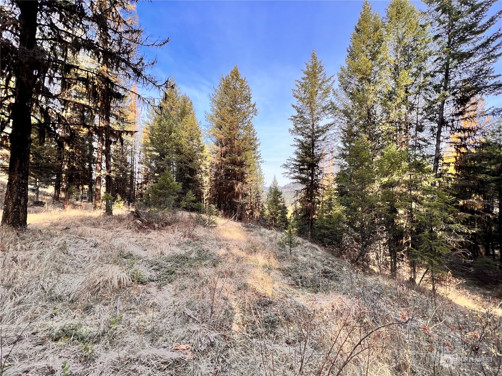 -tbd Sugarloaf Road Curlew, WA 99118 - Photo 2 of 36 Gallery Image 2