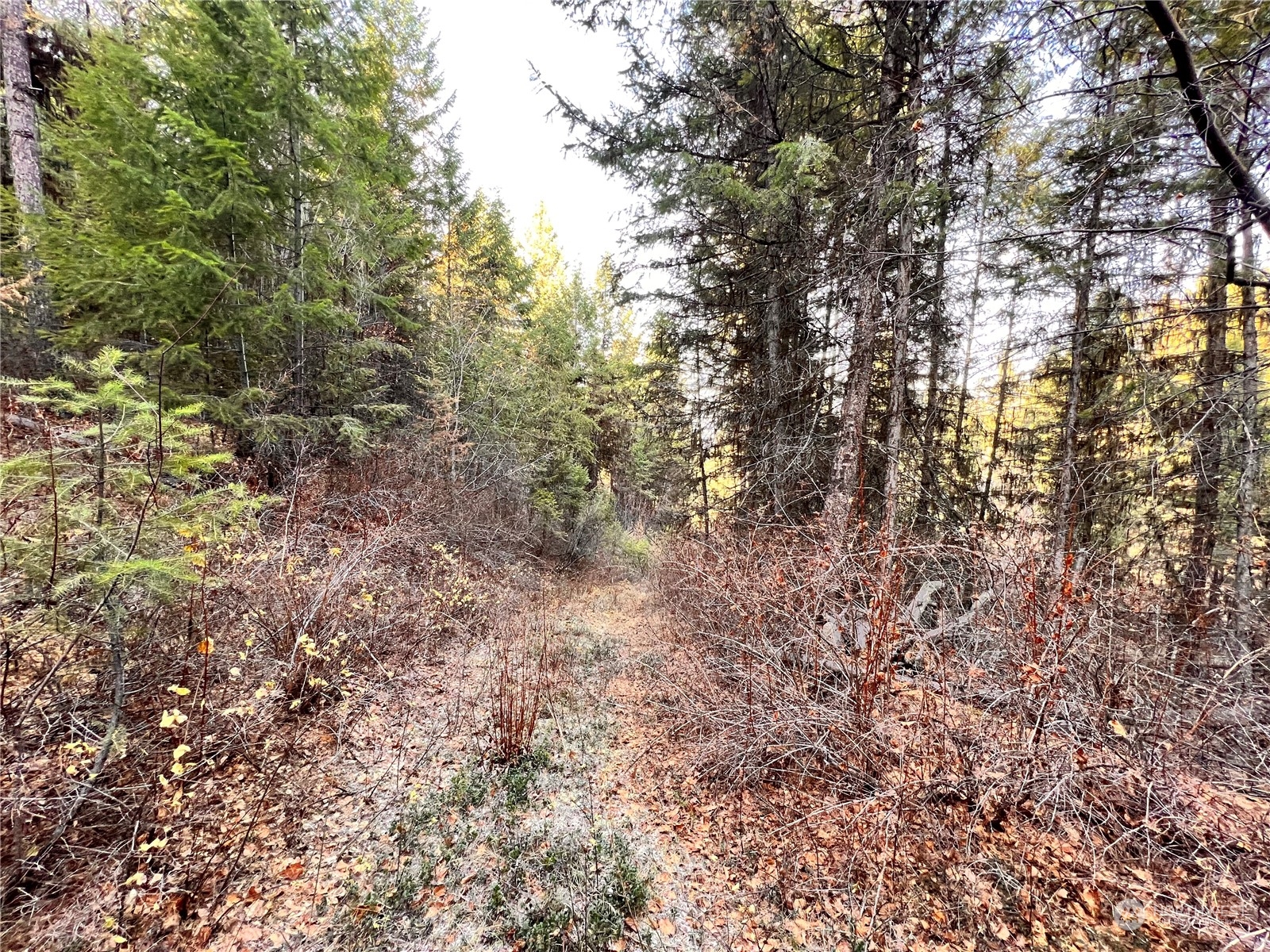 -tbd Sugarloaf Road Curlew, WA 99118 - Photo 21 of 36 Gallery Image 21