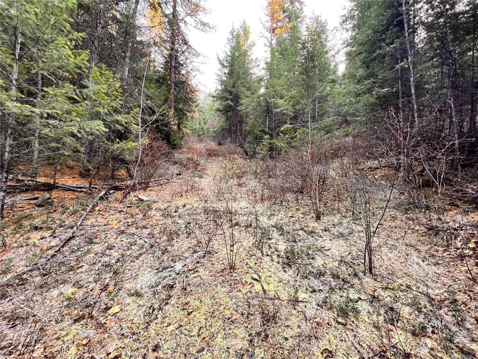 -tbd Sugarloaf Road Curlew, WA 99118 - Photo 23 of 36 Gallery Image 23