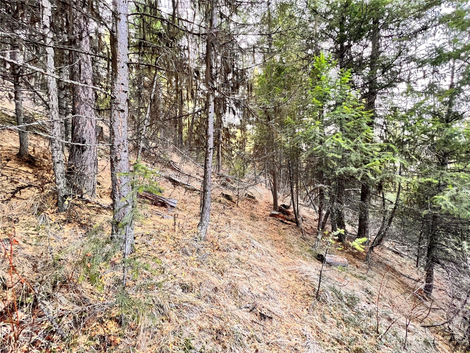 -tbd Sugarloaf Road Curlew, WA 99118 - Photo 25 of 36 Gallery Image 25