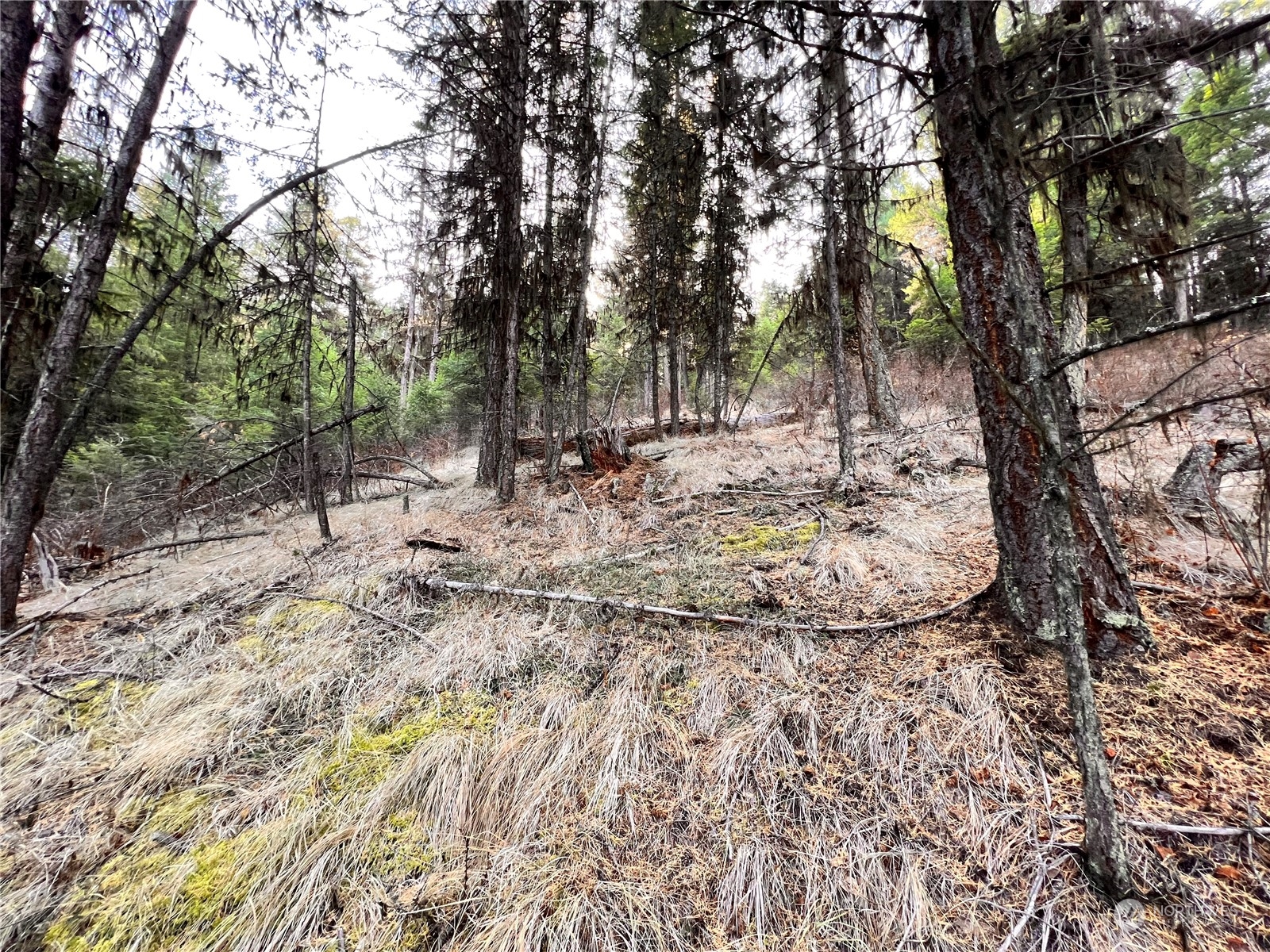 -tbd Sugarloaf Road Curlew, WA 99118 - Photo 27 of 36 Gallery Image 27