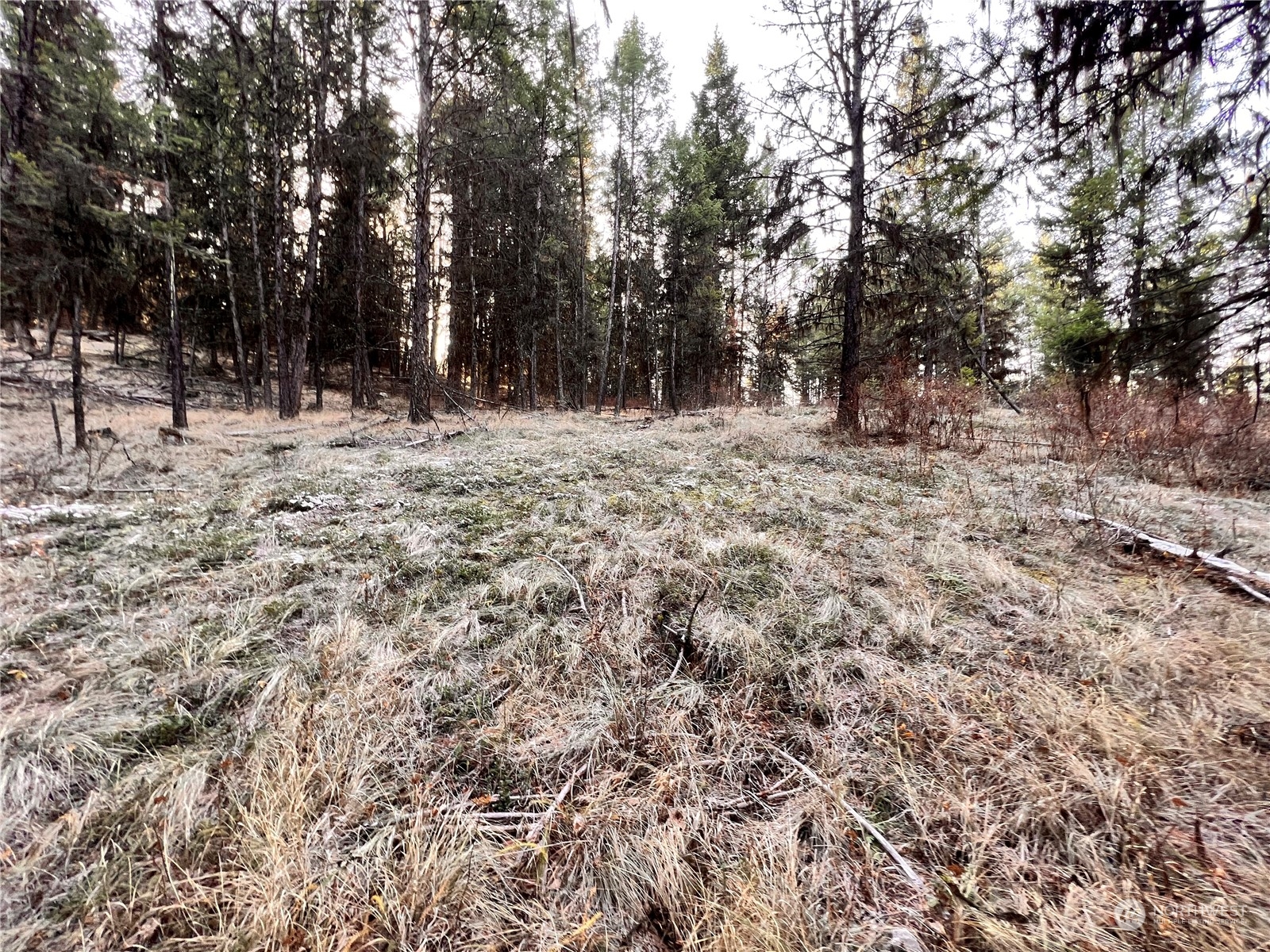 -tbd Sugarloaf Road Curlew, WA 99118 - Photo 30 of 36 Gallery Image 30