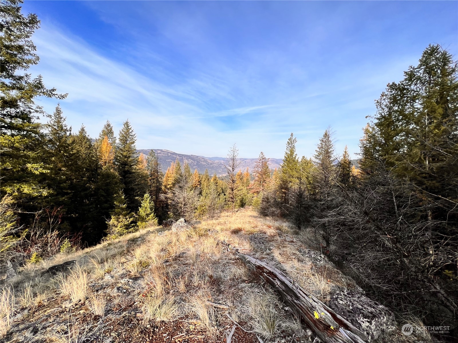 -tbd Sugarloaf Road Curlew, WA 99118 - Photo 3 of 36 Gallery Image 3