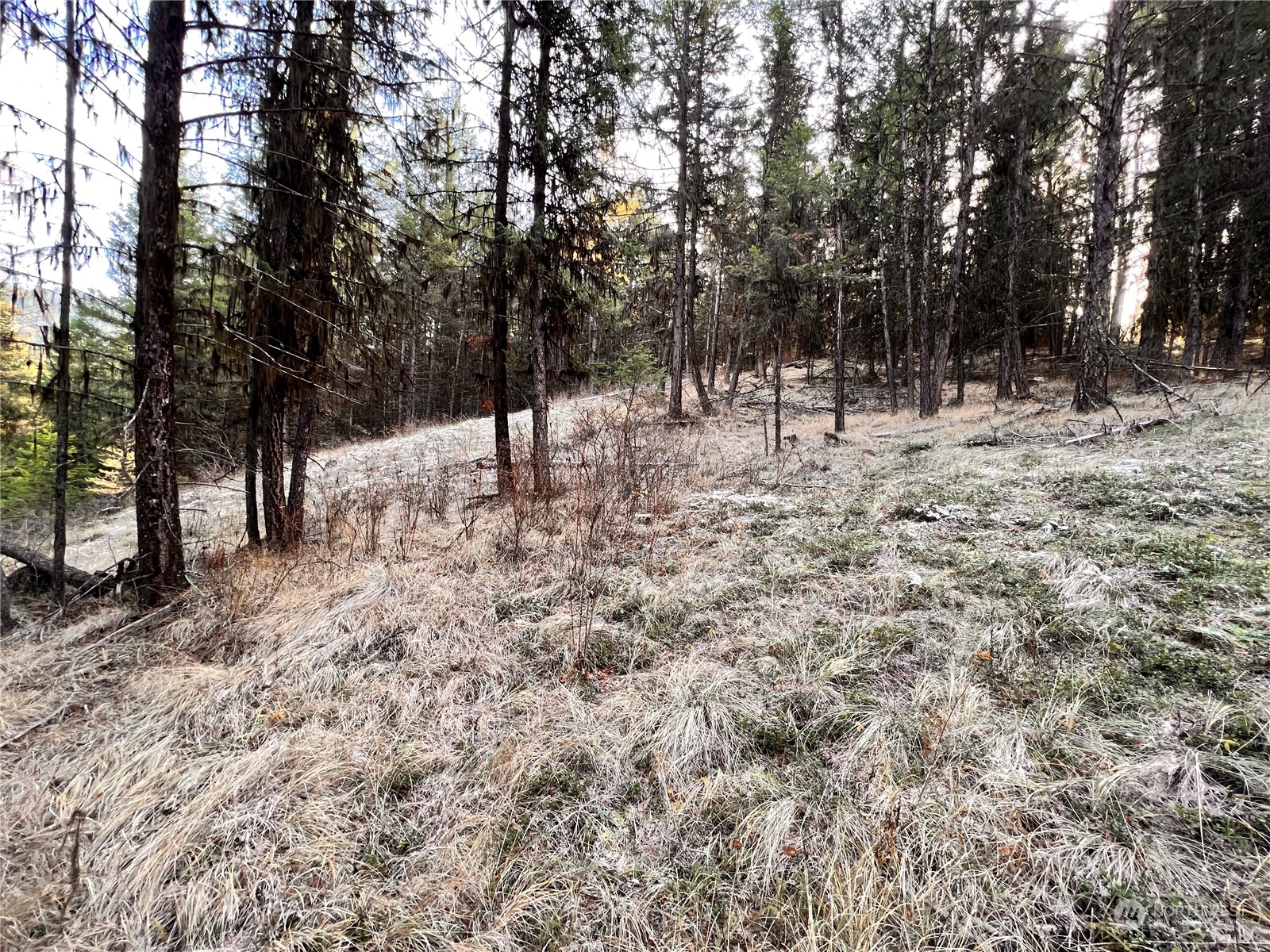 -tbd Sugarloaf Road Curlew, WA 99118 - Photo 31 of 36 Gallery Image 31