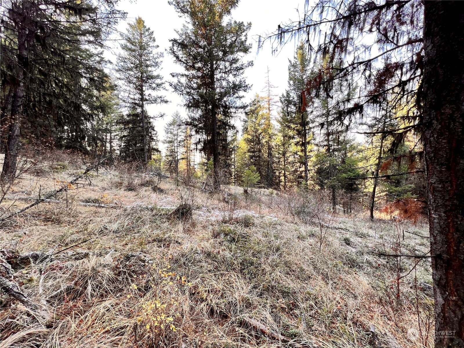 -tbd Sugarloaf Road Curlew, WA 99118 - Photo 32 of 36 Gallery Image 32