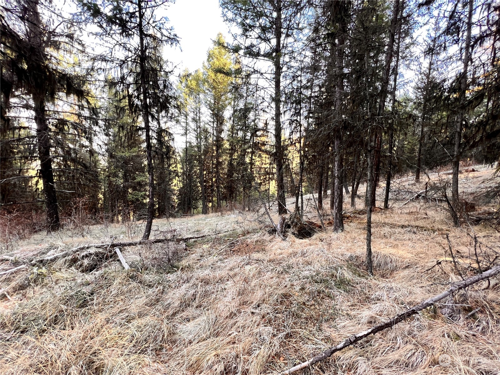 -tbd Sugarloaf Road Curlew, WA 99118 - Photo 33 of 36 Gallery Image 33