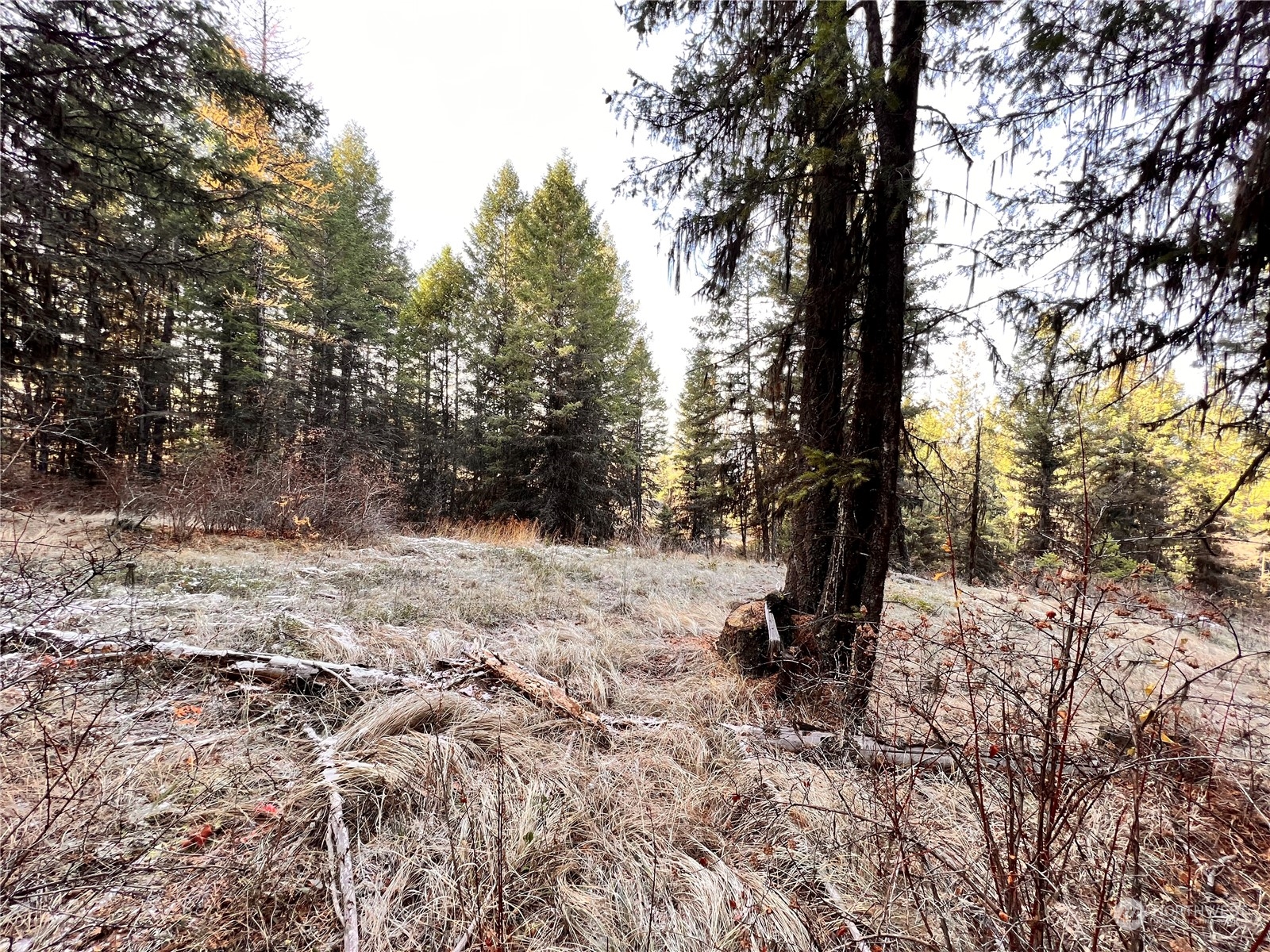 -tbd Sugarloaf Road Curlew, WA 99118 - Photo 34 of 36 Gallery Image 34