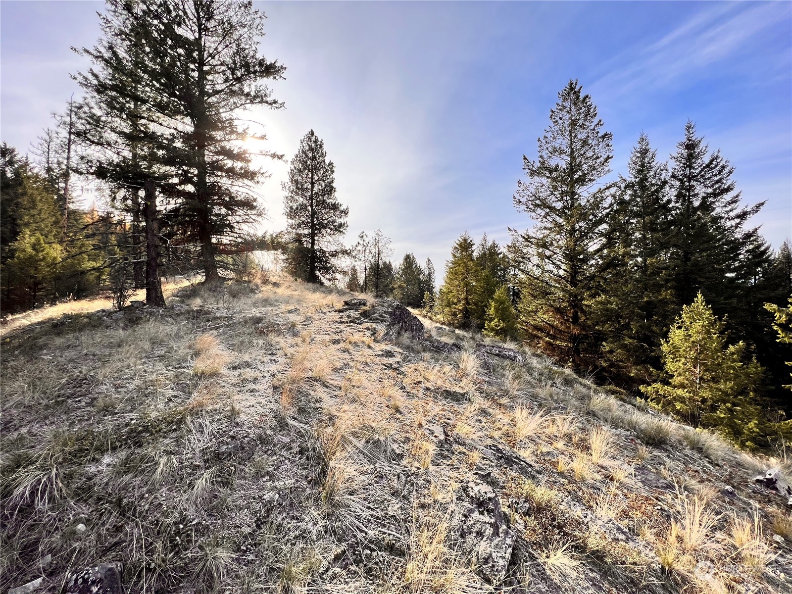 -tbd Sugarloaf Road Curlew, WA 99118 - Photo 4 of 36 Gallery Image 4