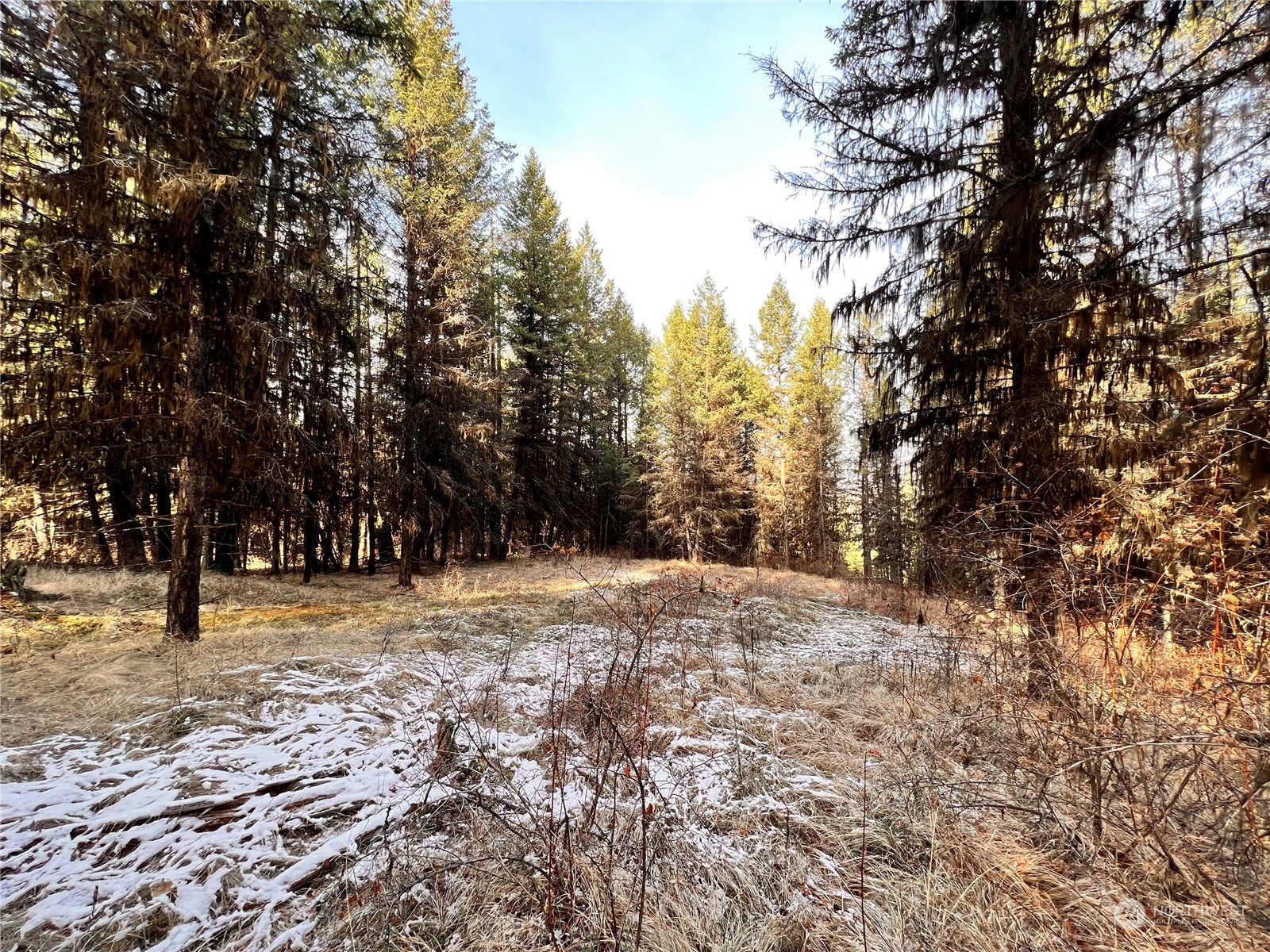 -tbd Sugarloaf Road Curlew, WA 99118 - Photo 8 of 36 Gallery Image 8