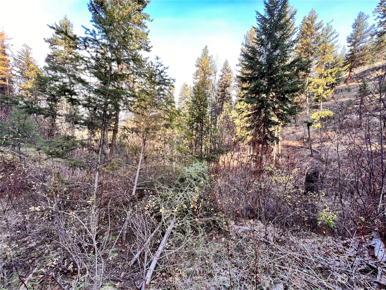 -tbd Sugarloaf Road Curlew, WA 99118 - Photo 10 of 36 Gallery Image 10