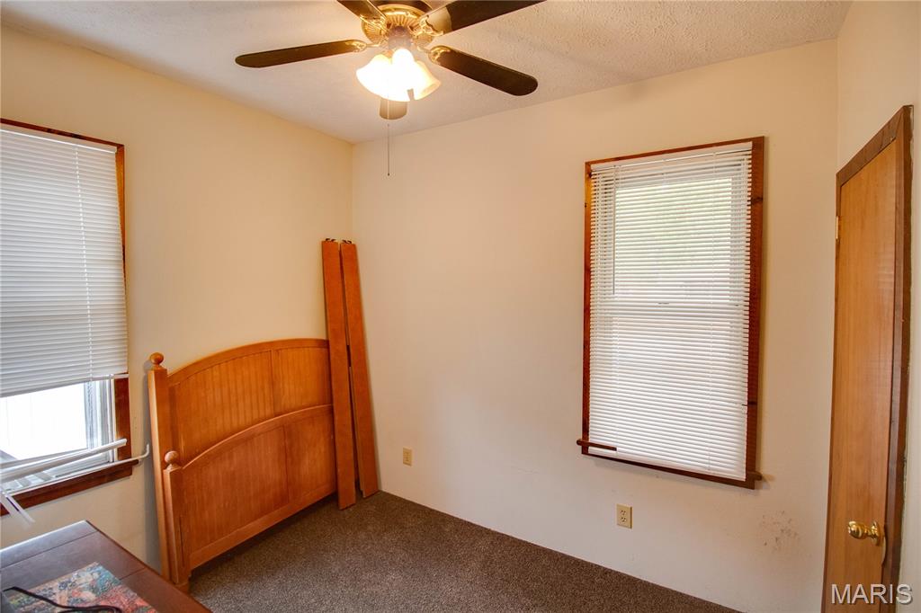 701 East Chestnut Street Gillespie, IL 62033 - Photo 15 of 41