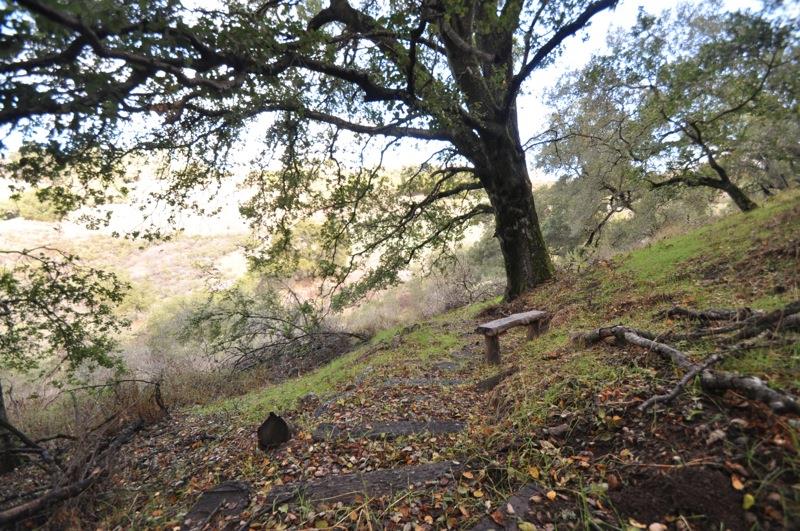 0 Mt Eden Road Saratoga, CA 95070 - Photo 21 of 27