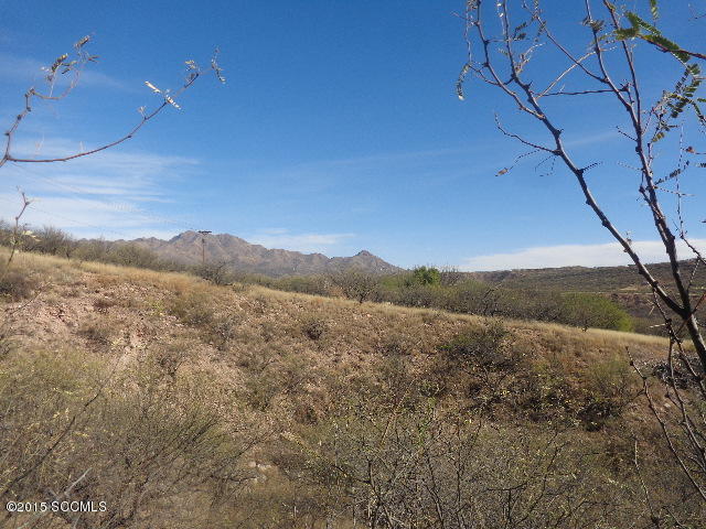1390 Carolina Court Rio Rico, AZ 85648 - Photo 11 of 12 Gallery Image 11