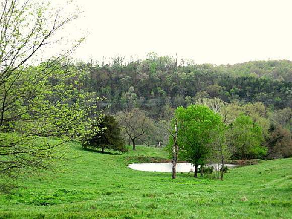 4 Camp Yocum Road Galena, MO 65656 - Photo 1 of 1 Primary Photo