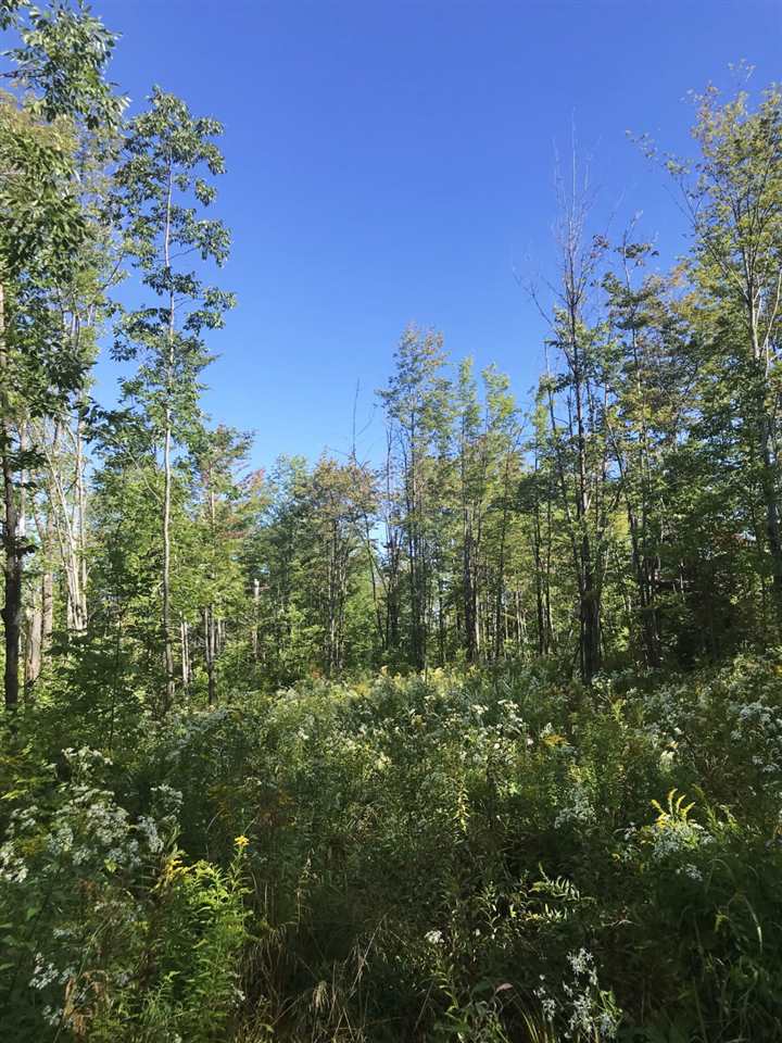 - Kidder Hill Road Irasburg, VT 05845 - Photo 4 of 14 Gallery Image 4