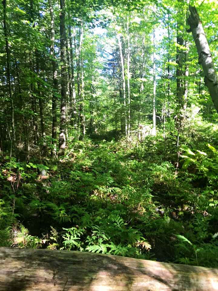 - Kidder Hill Road Irasburg, VT 05845 - Photo 8 of 14 Gallery Image 8