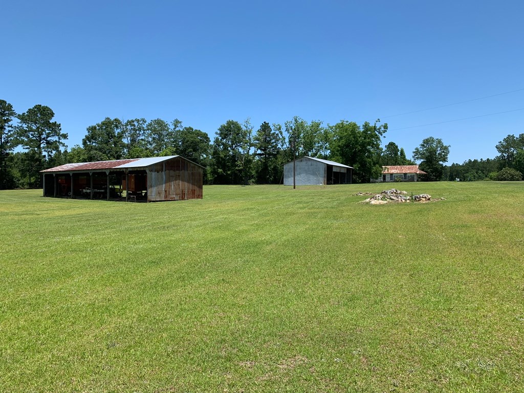 0 South Co Road Ashford, AL 36312 - Photo 6 of 16