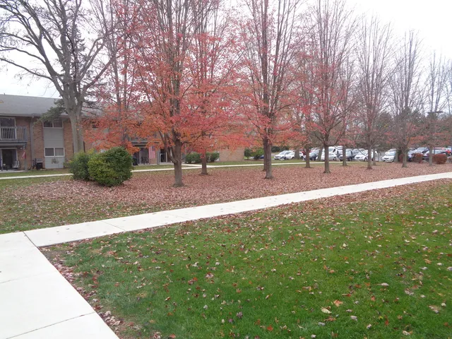 $1,985 | 16-w585 S Mockingbird Lane, Unit 207, Willowbrook, IL 60527