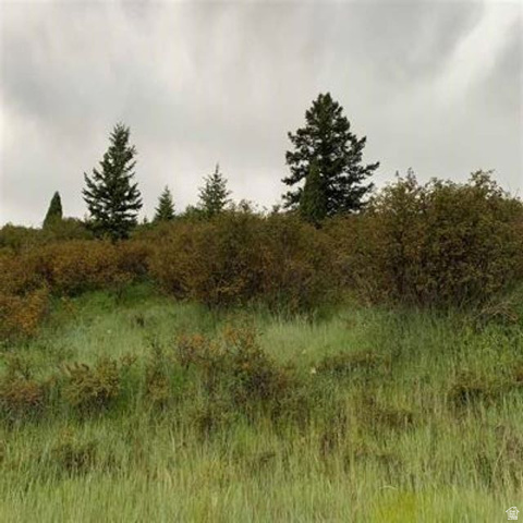 155 Caribou Road Soda Springs, ID 83276 - Photo 2 of 6 View of undeveloped land
