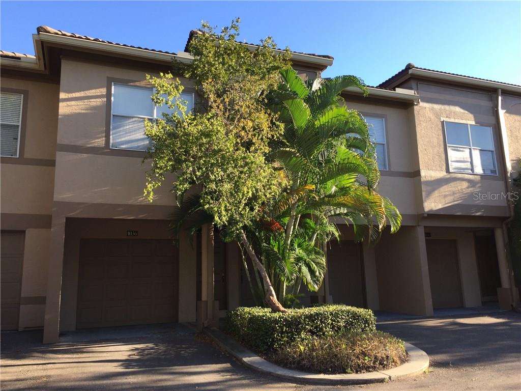 1036 Normandy Trace Road, Unit 1036 Tampa, FL 33602 - Photo 1 of 1 a house with a tree in front of it