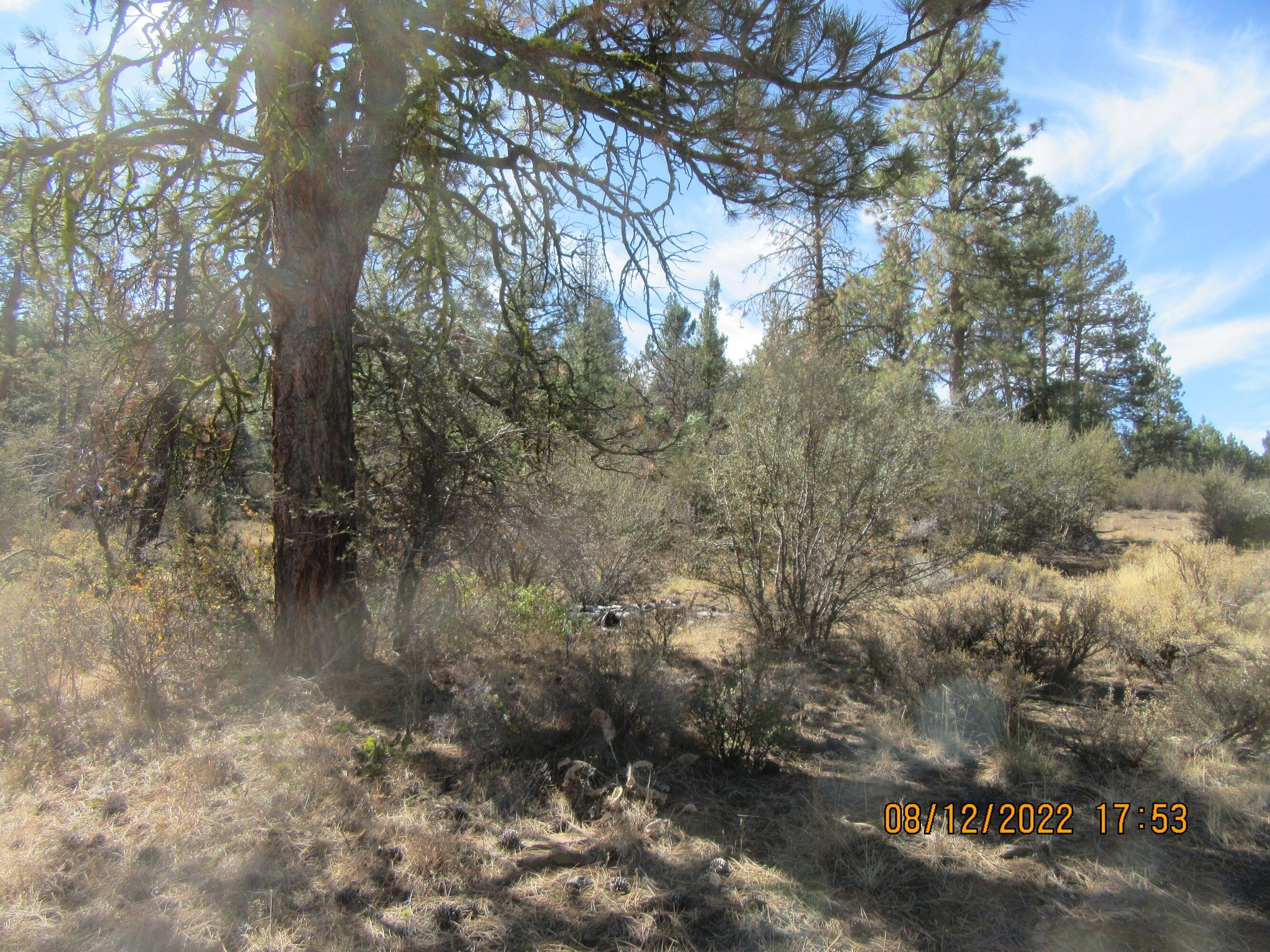 Lot 2 Tiger Lane Bonanza, OR 97623 - Photo 7 of 12 Tiger 1