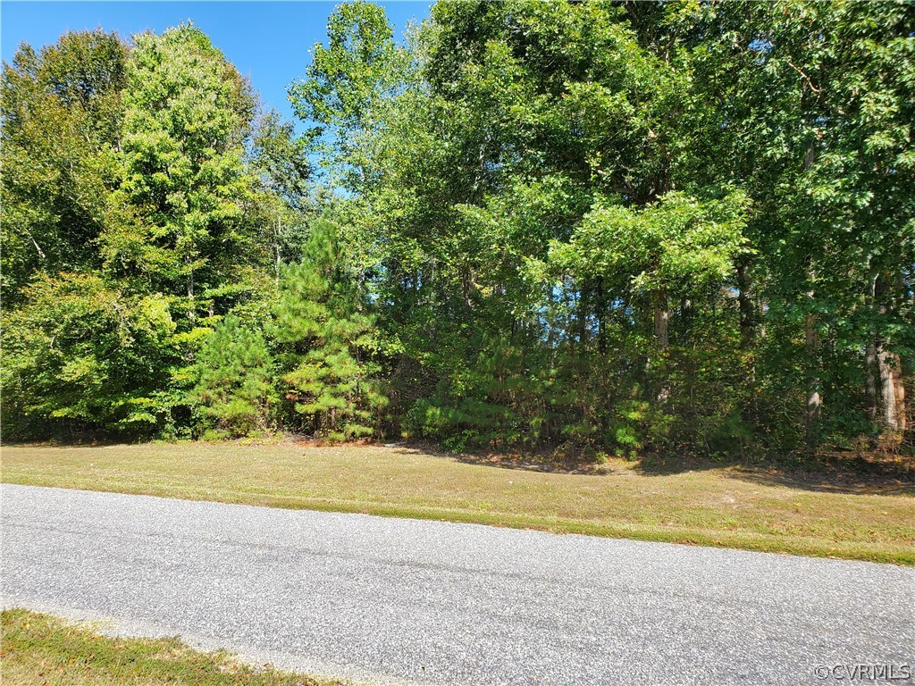 0 Steamboat Road Hartfield, VA 23071 - Photo 13 of 13 a view of a yard with a large trees