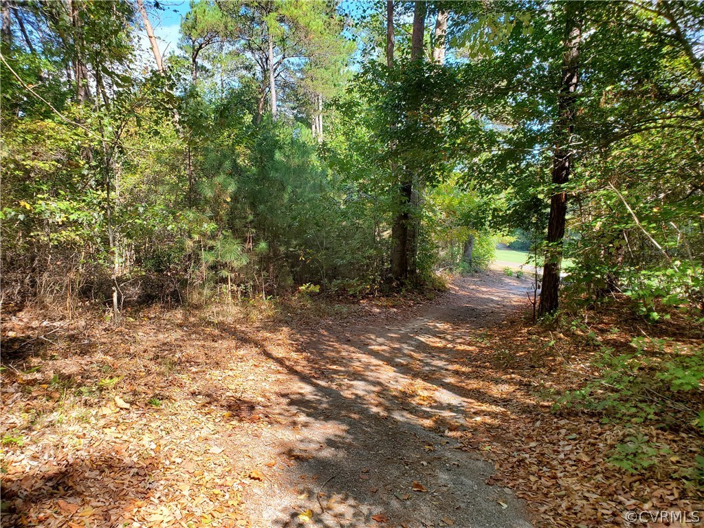 0 Steamboat Road Hartfield, VA 23071 - Photo 4 of 13 a view of a tree in the middle of a yard