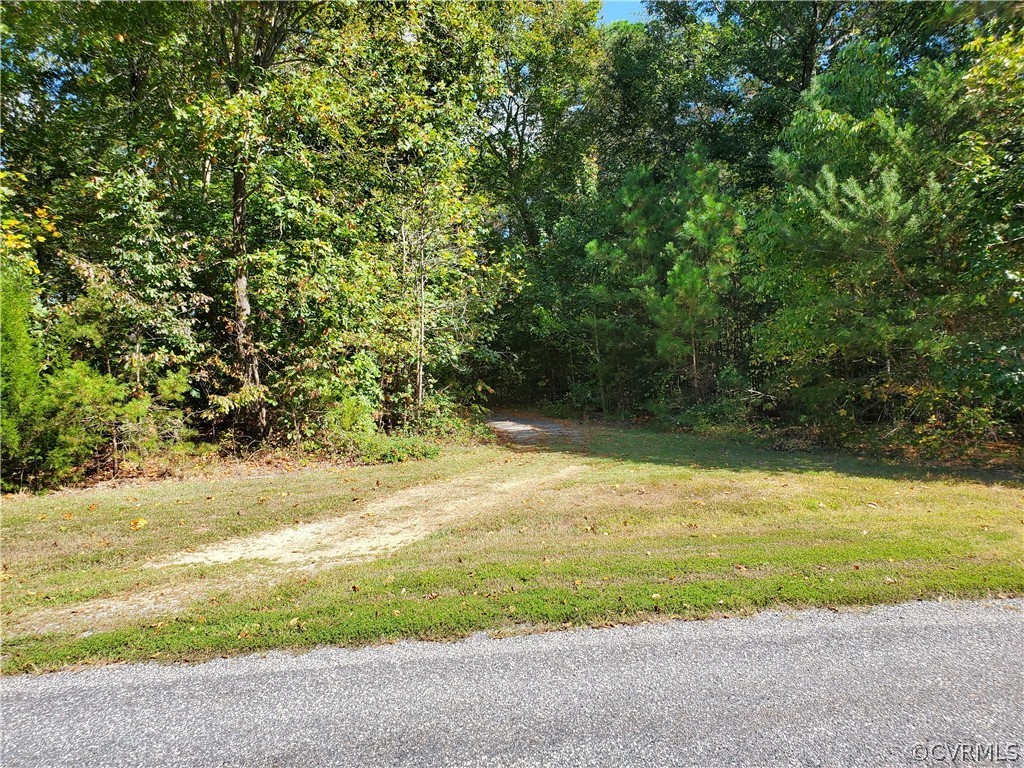 0 Steamboat Road Hartfield, VA 23071 - Photo 8 of 13 a view of a yard with a trees