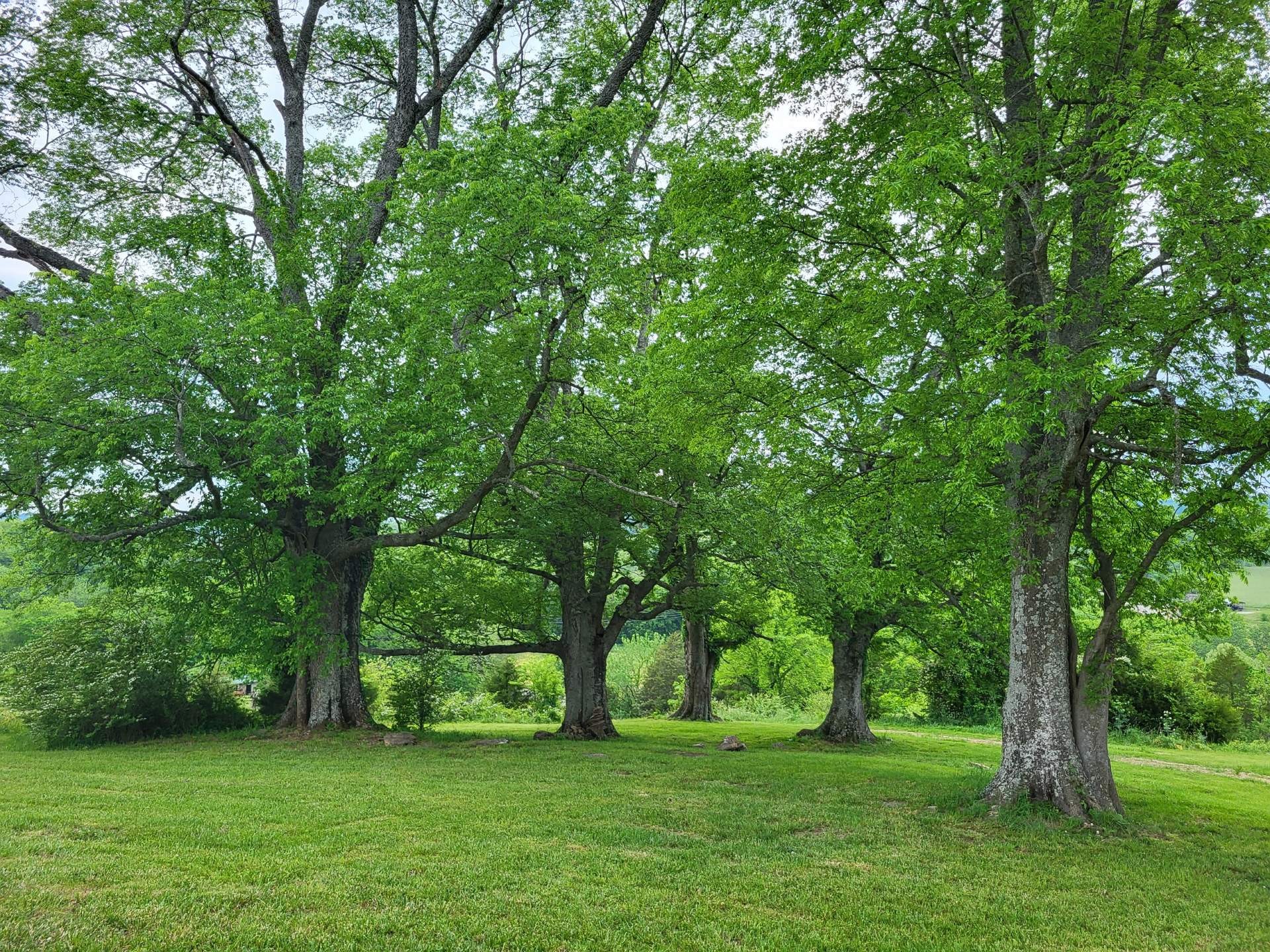 0 Taylors Store Road Hampshire, TN 38461 - Photo 26 of 44 Gallery Image 26