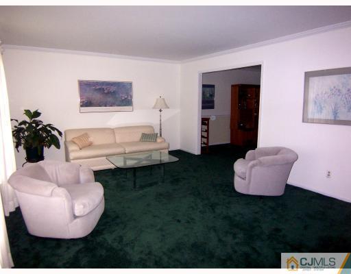 3 Fox Hill Road Edison, NJ 08820 - Photo 2 of 10 a living room with furniture and a rug