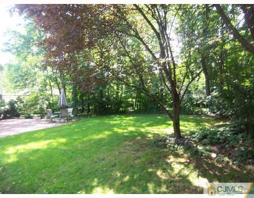3 Fox Hill Road Edison, NJ 08820 - Photo 10 of 10 a view of yard with trees