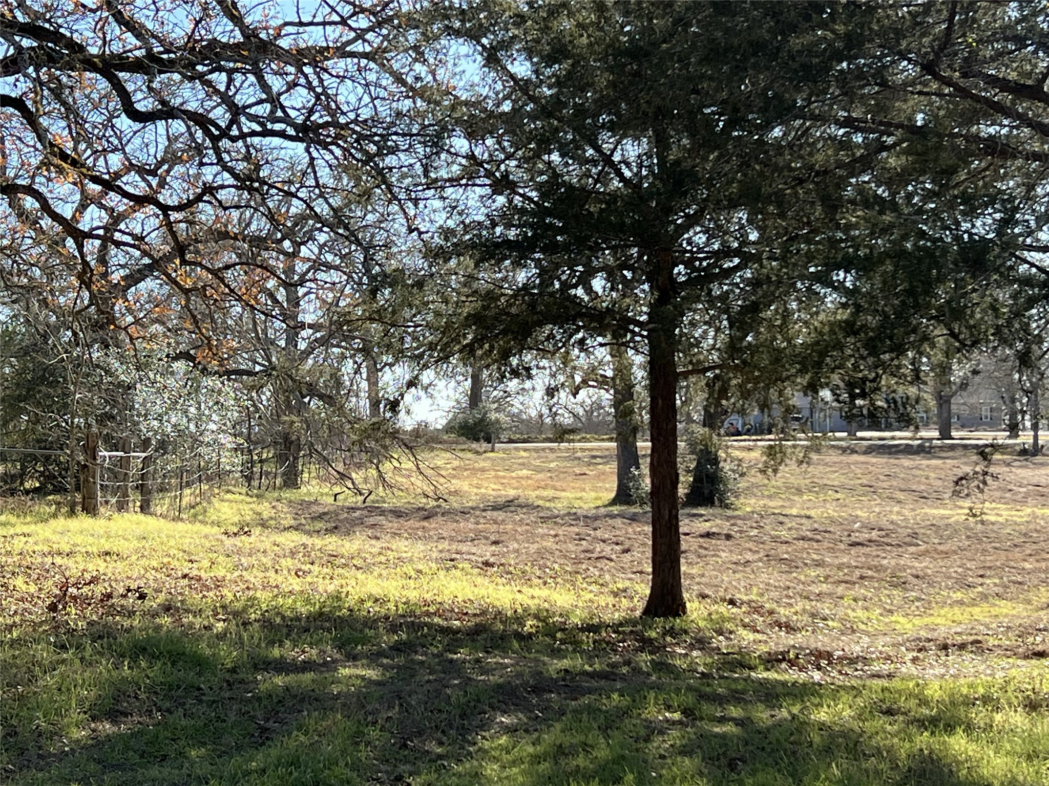 Tbd Rosanky Cattle Company Road Smithville, TX 78957 - Photo 16 of 40 a view of a yard with swimming pool