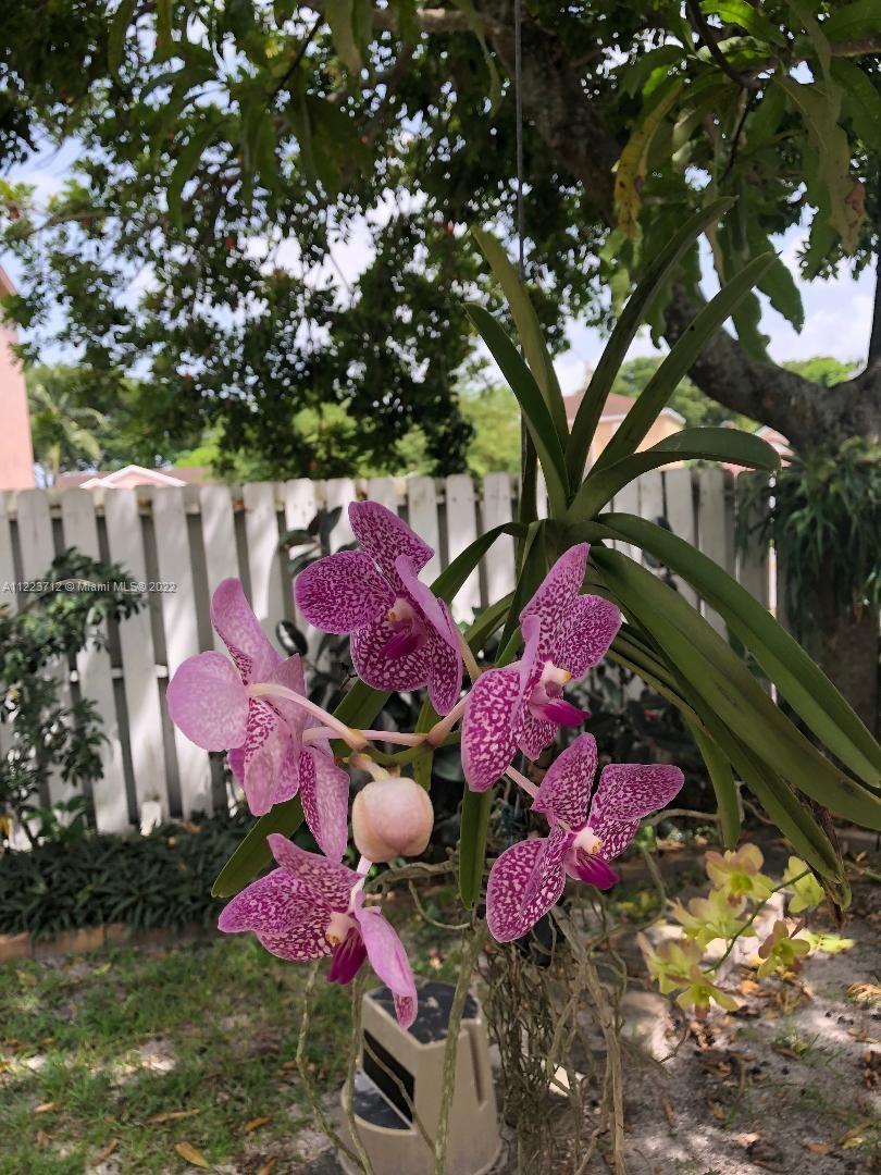 River Run Miramar, FL 33025 - Photo 23 of 23