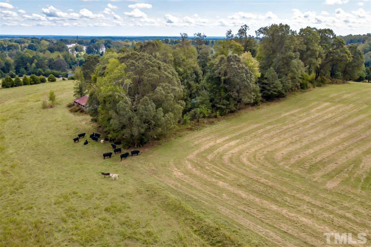 9013 Ball Road Bahama, NC 27503 - Photo 24 of 25
