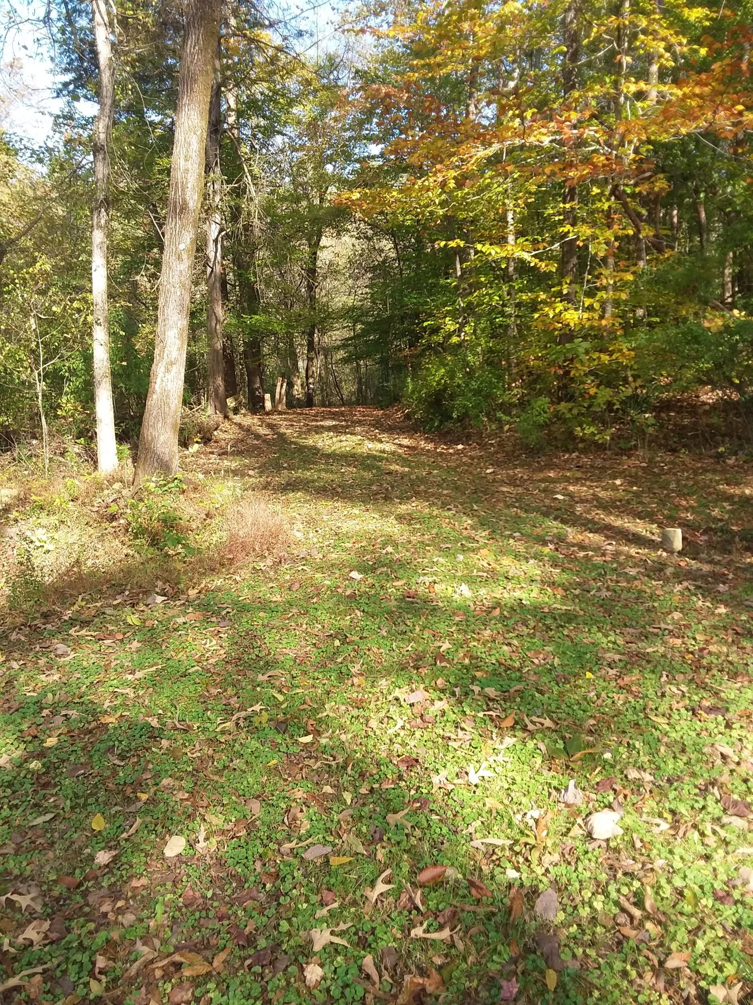 Guinn Narrows Road Decatur, TN 37322 - Photo 22 of 24 20201103_134403