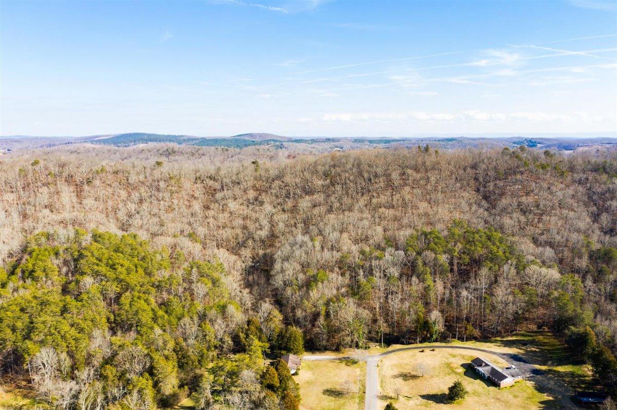 Guinn Narrows Road Decatur, TN 37322 - Photo 4 of 24 04-573-Meadowview-Ln-Decatur-TN-4