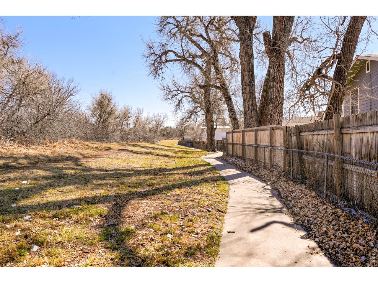 9338 Pierce Street Westminster, CO 80021 - Photo 25 of 26 a view of outdoor space with trees
