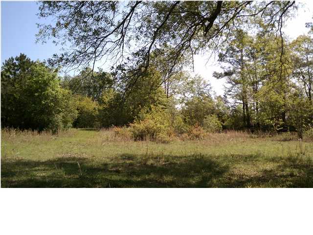 2294 Curtis Madden Road Baker, FL 32531 - Photo 14 of 31 a view of lake and mountain