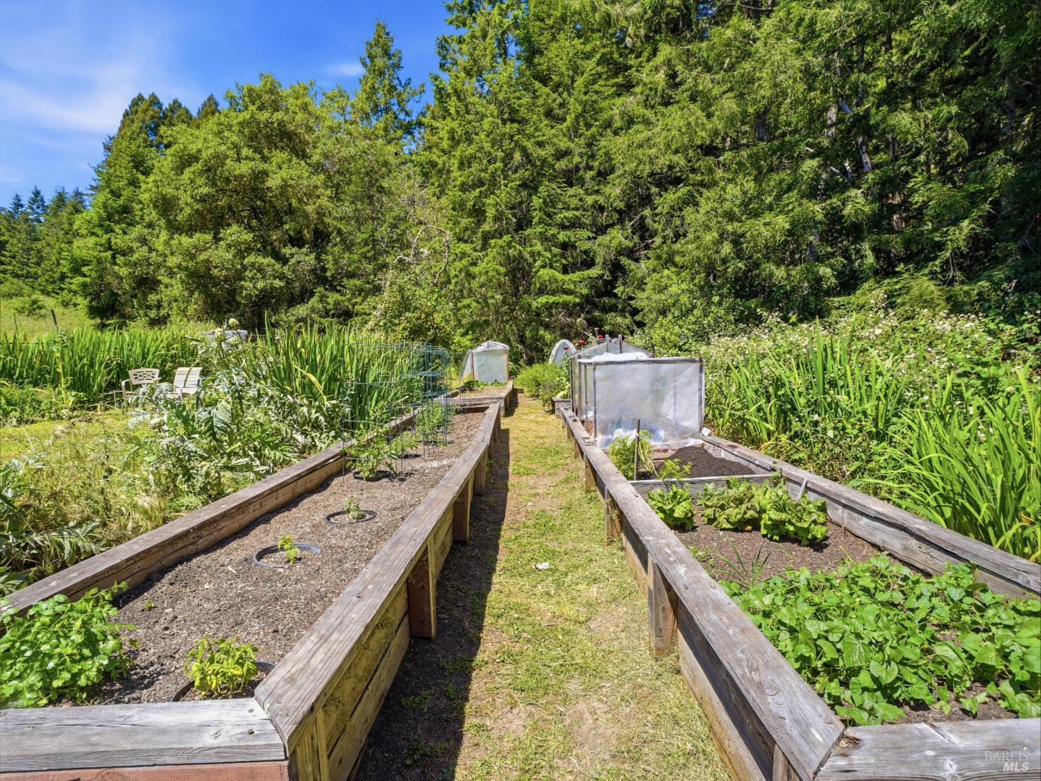 31397 Seaview Road Cazadero, CA 95421 - Photo 40 of 47 a view from balcony